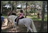 Paseos a caballos 