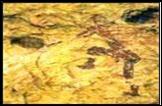 Pinturas rupestes 